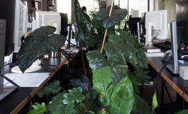 MTTR ARCHITEKTEN+STADTPLANER